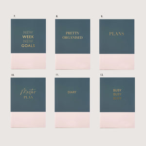 Weekly Diary Planner "365" | Undated Start Anytime | Week to view | Monthly Calendars | Gift for Her